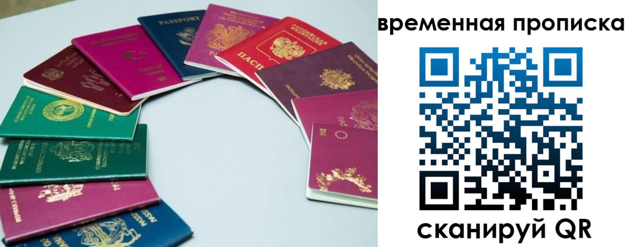 найти адрес прописки в Чите